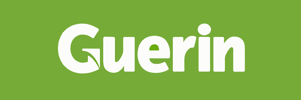 Guerin Car hire at Ponta Delgada