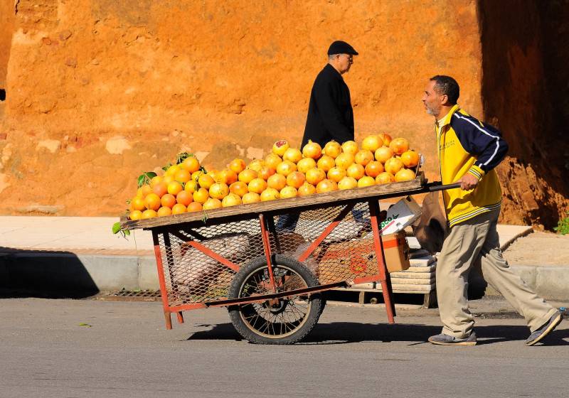 Fresh oranges in Casablanca